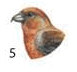 0800hdfz-c5f5-77x72.png