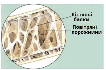 0800hdr2-8056-351x231.png