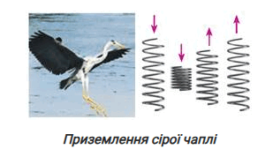 0800hdte-fc0d-309x178.png