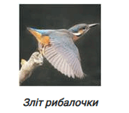 0800hdti-034f-185x162.png