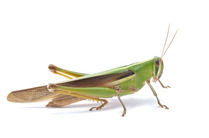 0800hdzf-83d1-600x400.jpg
