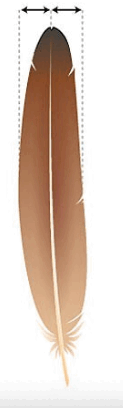 0800hfhz-a78f-123x408.png