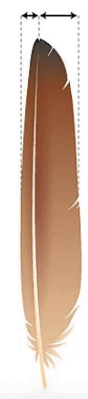 0800hfid-234c-88x399.png
