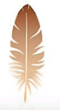 0800hfin-48e3-84x155.png