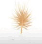 0800hfj4-ba6a-87x92.png