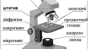 Будова сучасного світлового мікроскопа.