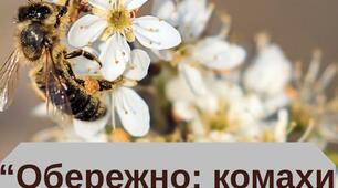 Пам'ятка для батьків "Обережно: комахи навесні!"