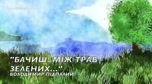 Презентація " Володимир Підпалий"