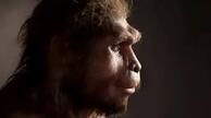 Homo erectus: давні люди жили значно довше, ніж вважали досі - BBC News Україна