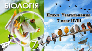 Птахи. Узагальнення 7 клас НУШ