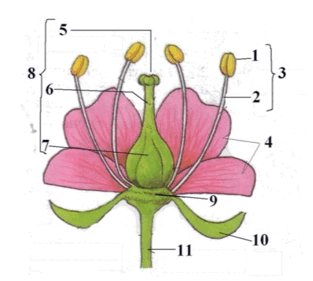 0800hlb8-e757-313x281.png