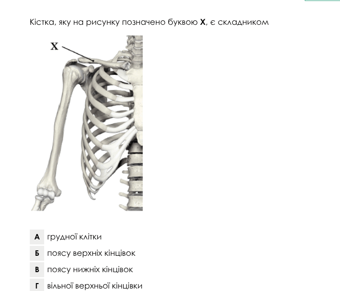 0800hlco-3cfa-685x587.png