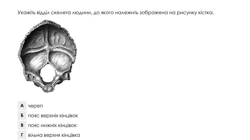 0800hldi-3b54-846x473.png