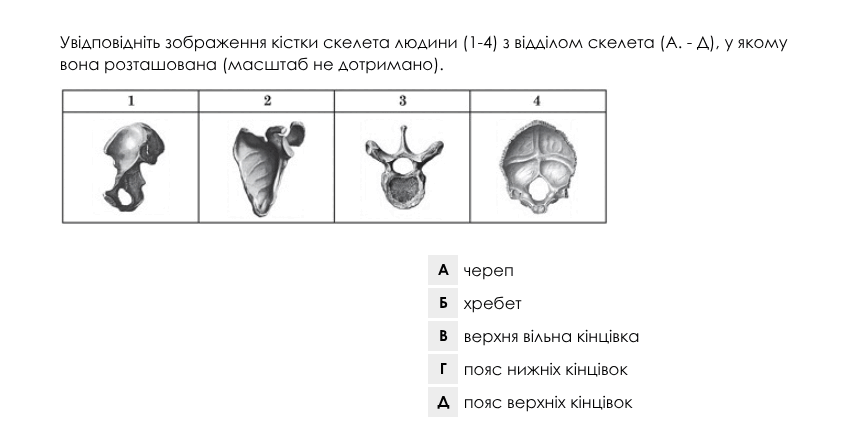 0800hldo-7176-852x429.png