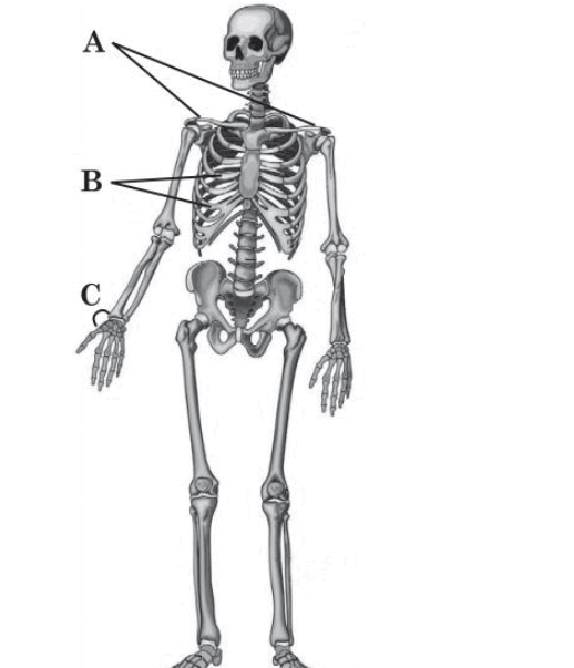 0800hlkn-c040-518x603.png