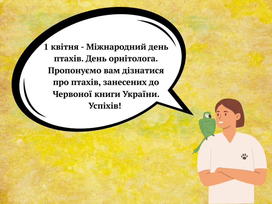 0800hn4i-0c6d-940x705.png