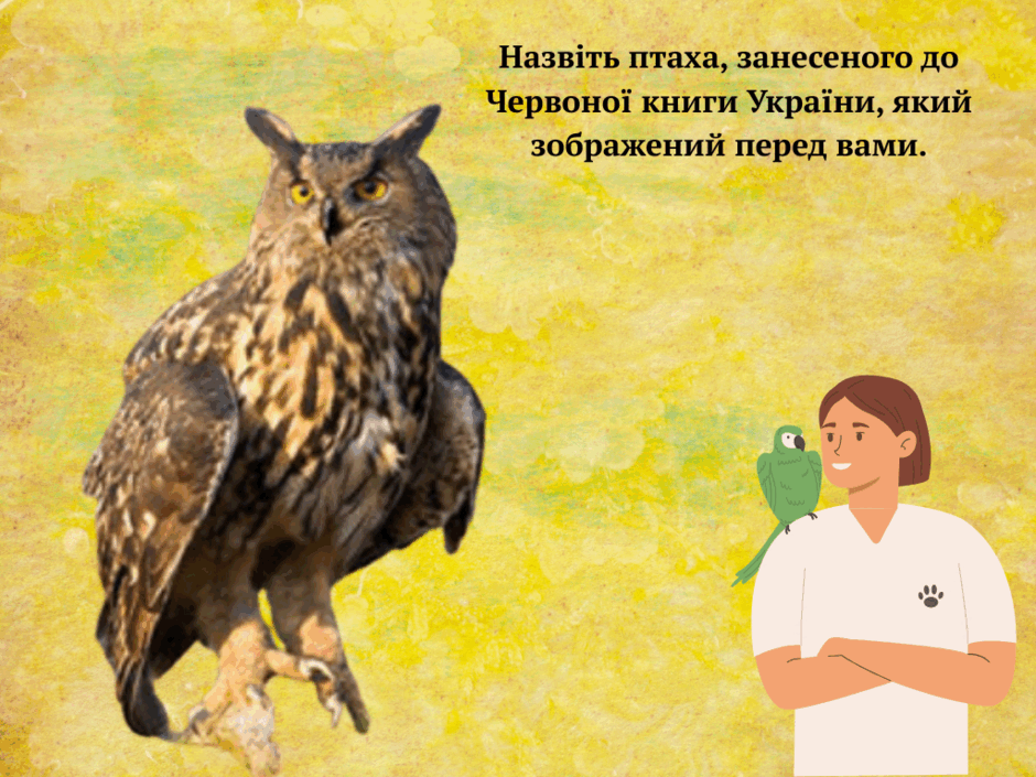 0800hn4l-2e2b-940x705.png