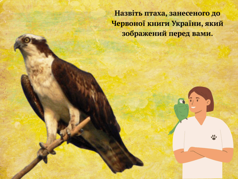 0800hn51-0c28-940x705.png