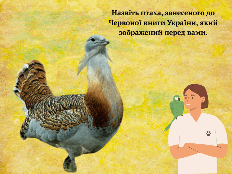 0800hn5o-05c4-940x705.png