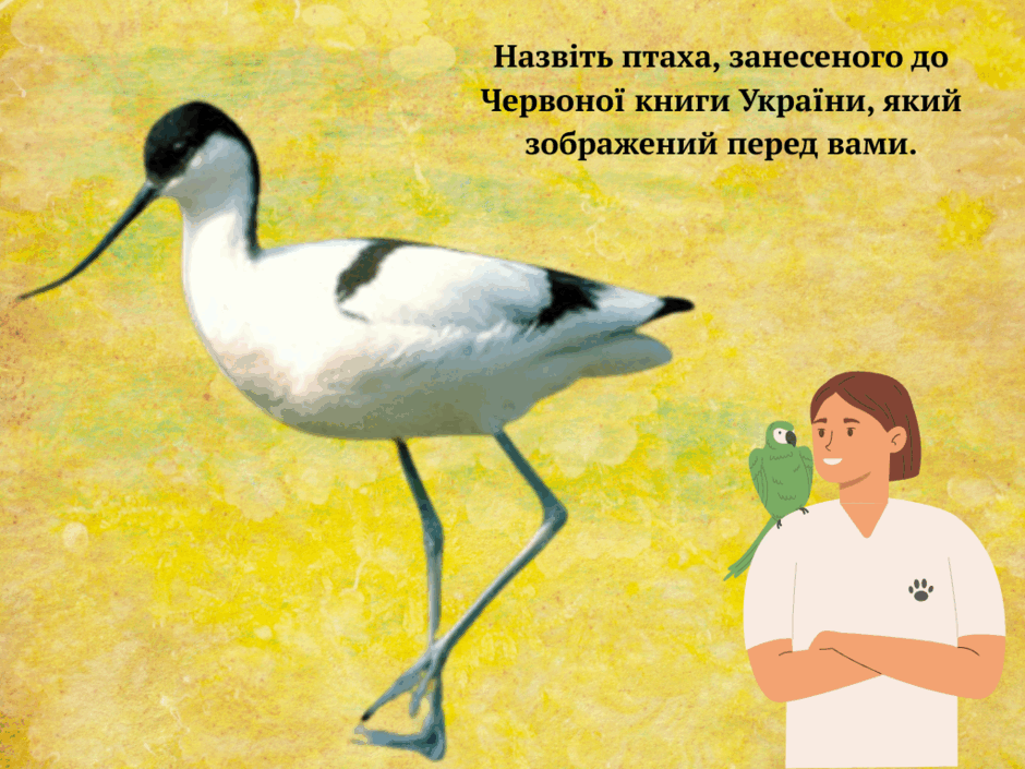 0800hn5r-e8ab-940x705.png