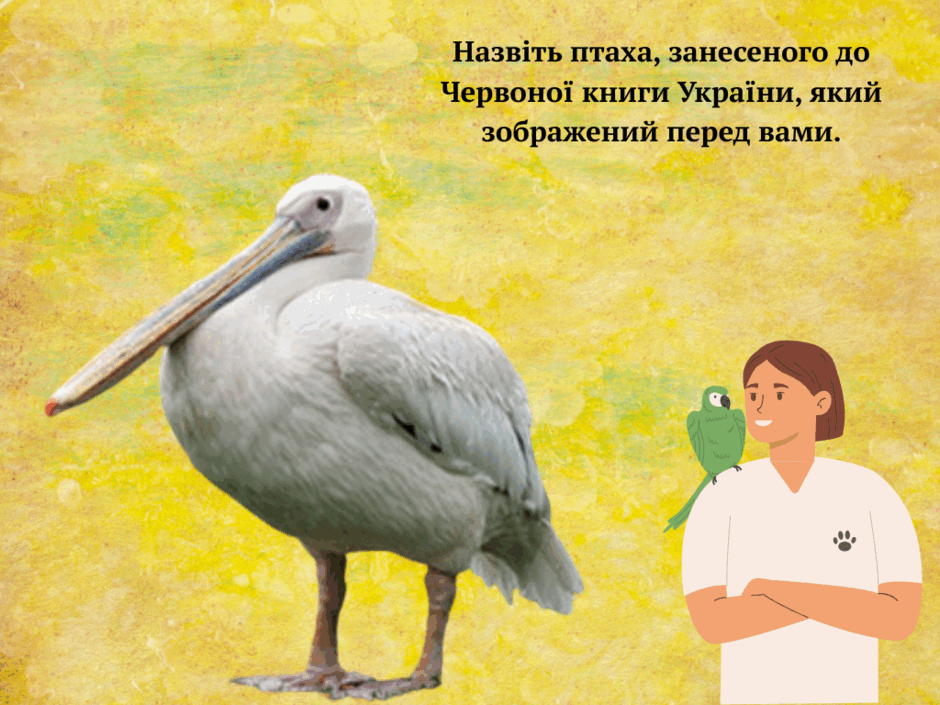 0800hn69-8adc-940x705.png