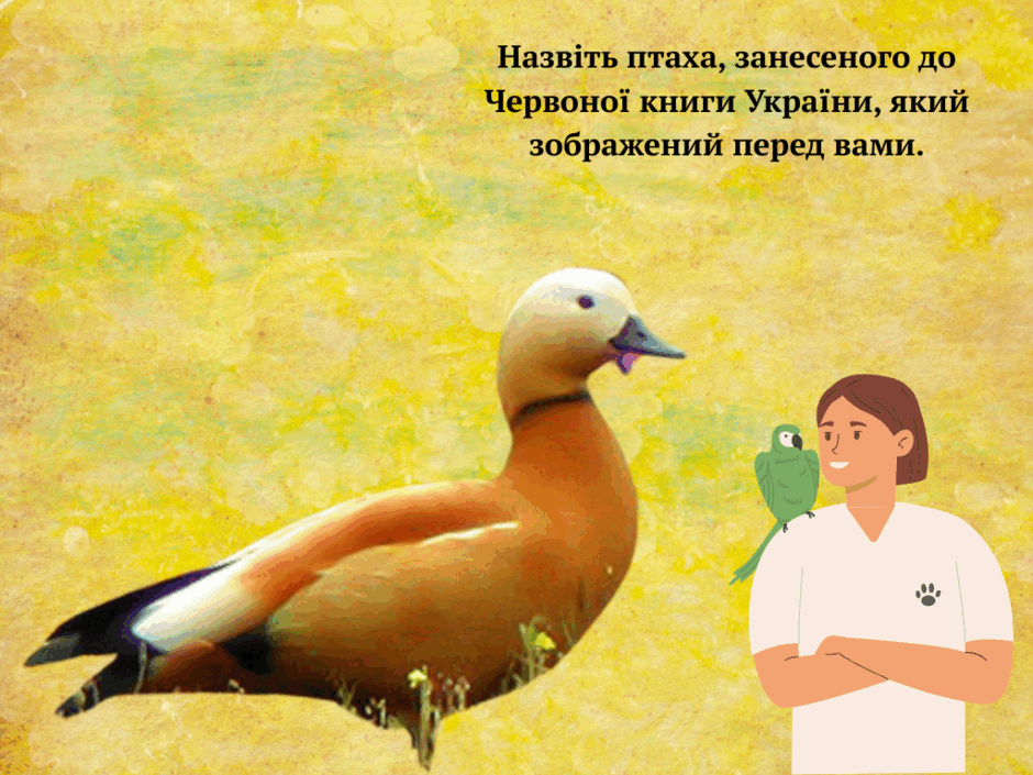 0800hn6n-051f-940x705.png