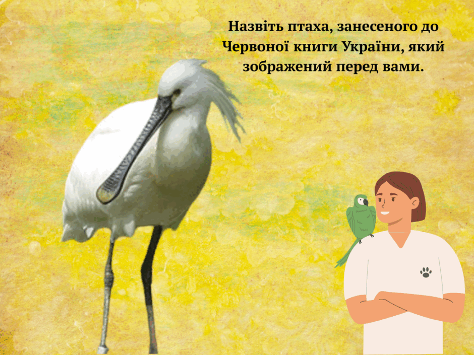 0800hn7l-4ebb-940x705.png