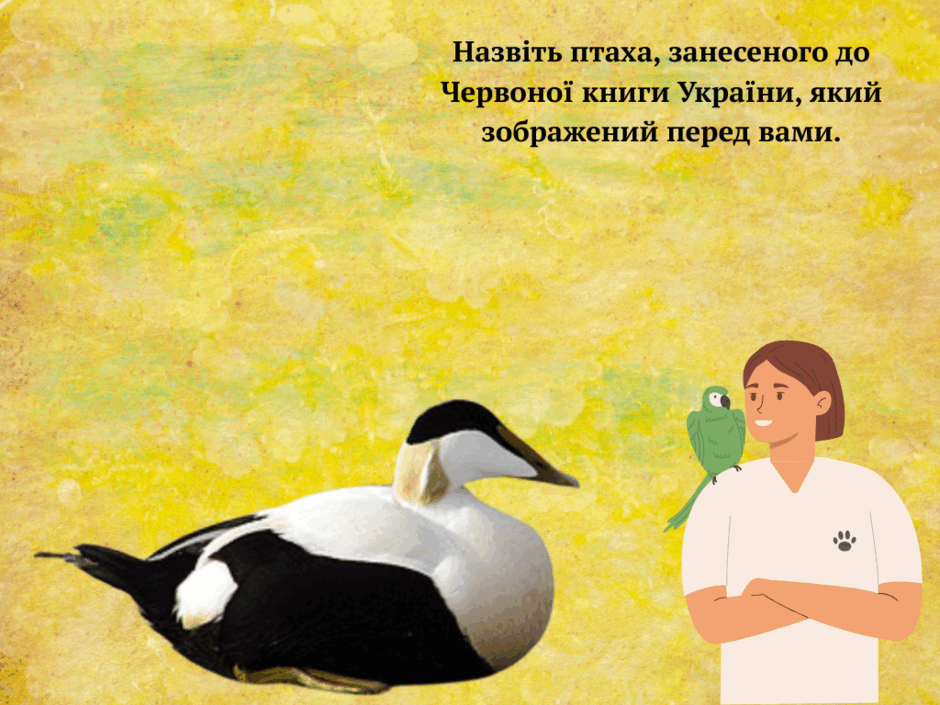 0800hn80-01f6-940x705.png