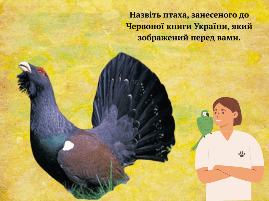 0800hn8g-41b3-940x705.png