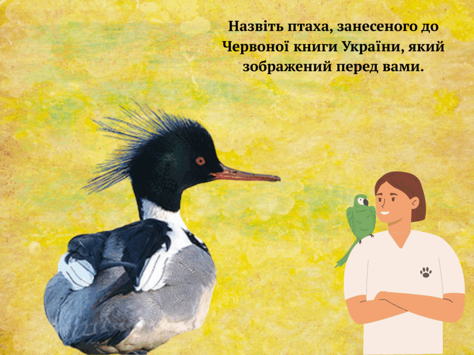 0800hn8u-c5f5-940x705.png