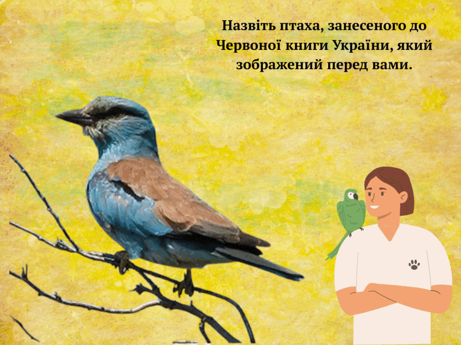 0800hn8z-56a2-940x705.png