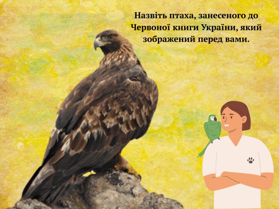 0800hn9f-d49f-940x705.png