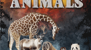 TEST "Amazing Animals: Vocabulary and Grammar" (Unit 16. Prepare 6, NUS)
