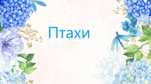 Птахи