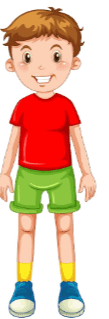 0800hx59-93a6-260x761.png