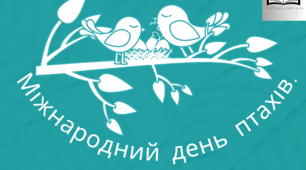 Консультація для батьків. "Міжнародний день птахів."