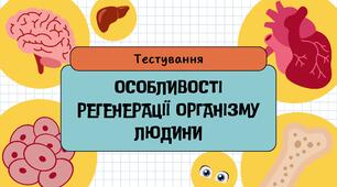 Особливості регенерації організму людини (правда - не правда)