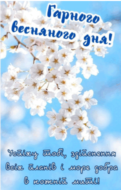 0800i1gh-3375-242x379.png
