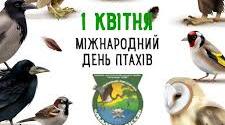 День птахів - міжнародне екологічне свято.