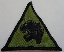 0800i2rd-f3f6-247x204.jpg