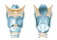 0800i3zs-f877-184x129.png