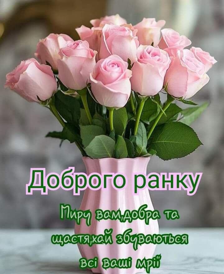 0800ia2n-e152-720x880.jpg