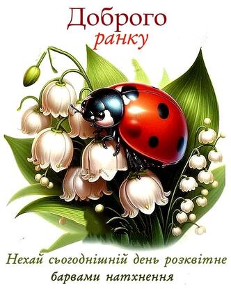 0800iakq-fb25-332x415.jpg