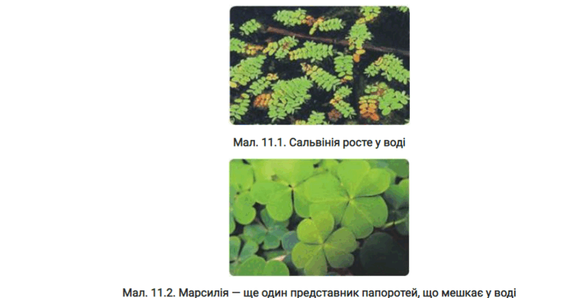 0800icqy-25b1-820x436.png