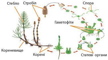 0800icu3-9190-380x213.jpg