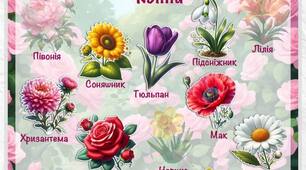 Квіти