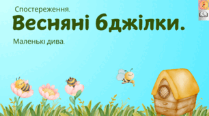 Спостереження за бджолами для дітей старшого дошкільного віку.