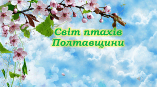 Світ птахів Полтавщини