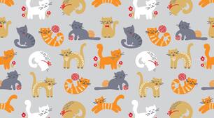 Котики