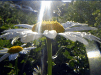0800ir5e-936e-200x150.png